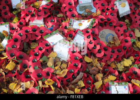 Des couronnes de coquelicots en souvenir. Banque D'Images