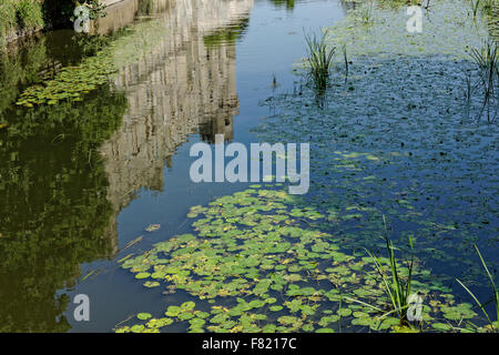 Le château de Warwick reflète dans river Banque D'Images