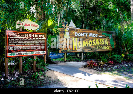 Les panneaux publicitaires pour les natures poisson géant bol et Homosassa Springs en Floride Banque D'Images