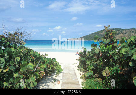 Flamenco Beach se niche dans une crique sur l'île de Culebra horseshoe, Puerto Rico. Banque D'Images