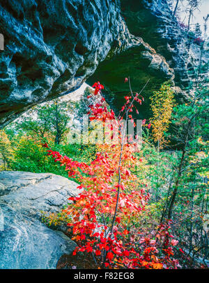 Arche naturelle, Daniel Boone National Forest, Virginia Banque D'Images