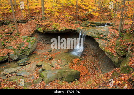 Blue Hen Falls de Cuyahoga Valley National Park. Banque D'Images