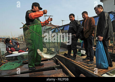 (151205) -- BEIJING, 5 décembre 2015 (Xinhua) -- Photo prise le 30 novembre 2015 Chanson pêcheur montre Boliang (2L) et son épouse Meng Xizhen (1re L) vente de poissons sur leur bateau de pêche après le retour du sud du lac Taihu dans Shanghai, Chine de l'est la province de Zhejiang. Vivant dans Huanlou Village de Wuxing District à Shanghai, Song Boliang, 46 ans, est né sur un bateau de pêche. Étant la dernière génération de pêcheur sur le sud du lac Taihu, la chanson et son épouse seront bientôt transférés à leur maison d'bateau de pêche pour maison sur banque. Ils sont parmi les 106 familles de pêcheurs d'Huanlou Village qui sont prévues par le Banque D'Images