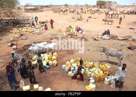 Les villageois se rassemblent autour d'un trou d'arrosage traditionnel dans Kotile, au Kenya. Banque D'Images