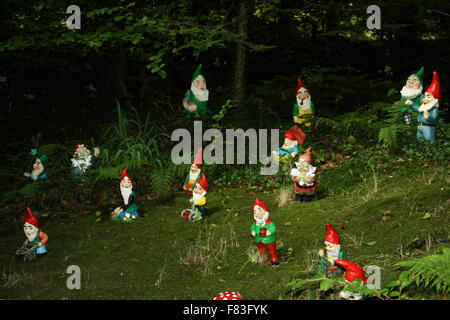 Réserver Gnome et jardin de fleurs sauvages à l'Ouest près de North Devon Putford Rackenford Banque D'Images