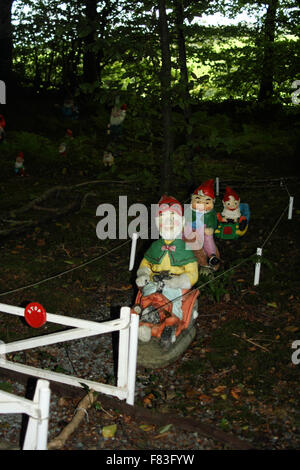 Réserver Gnome et jardin de fleurs sauvages à l'Ouest près de North Devon Putford Rackenford Banque D'Images