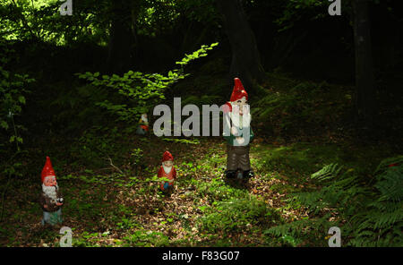 Réserver Gnome et jardin de fleurs sauvages à l'Ouest près de North Devon Putford Rackenford Banque D'Images