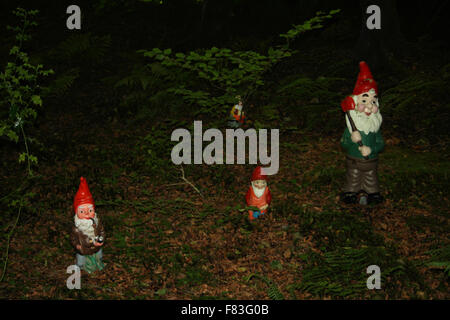 Réserver Gnome et jardin de fleurs sauvages à l'Ouest près de North Devon Putford Rackenford Banque D'Images