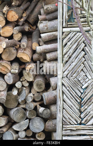 Portes avant unique rustique sur chalets dans les Cotswolds Banque D'Images