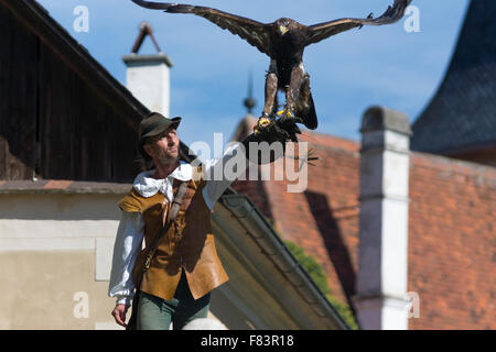 Un aigle d'or sur le point de voler de son maître de manutentionnaire au château de la Renaissance de Rosenberg, une destination touristique populaire en Basse-Autriche Banque D'Images