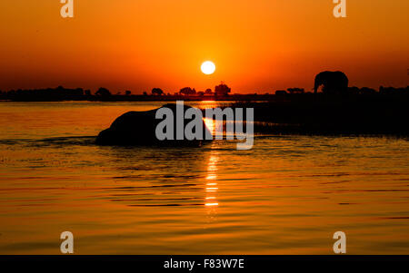 Rivière Chobe coucher du soleil Banque D'Images