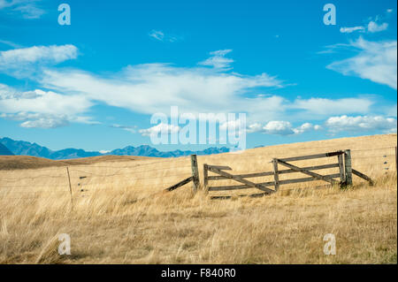 Porte cassée à Mackenzie country, île du Sud, Nouvelle-Zélande Banque D'Images