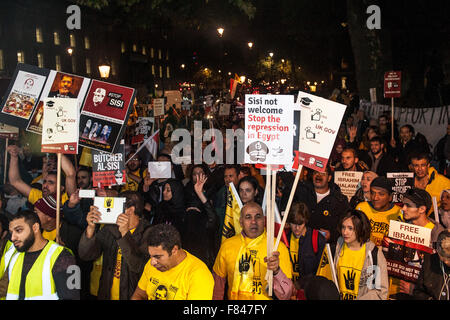 Des centaines d'Egyptiens se rassemblent à l'extérieur de Downing Street pour protester contre l'état de Président Abdel Fattah al-Sisi d'Égypte. Les manifestants affirment que Sisi est en train de devenir un dictateur et sont furieux de sa prochaine visite d'état du Royaume-Uni. Comprend : voir où Banque D'Images