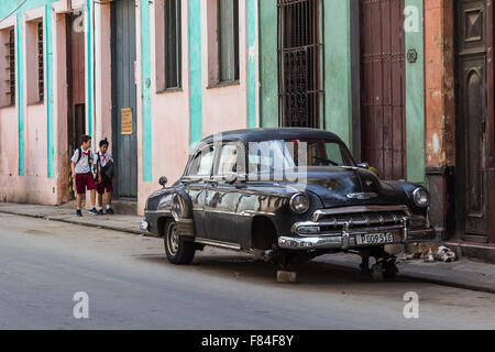 Les garçons de l'école à pied a adopté un chien mignon & un vieux timer de briques sur le chemin de la maison en Centro Havana. Banque D'Images