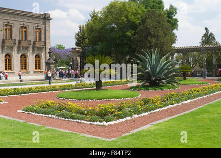 Agave géant 'Château de Chapultepec' jardin formel dans le parc de Chapultepec, Mexico, Mexique Banque D'Images