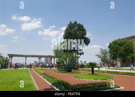 Château de Chapultepec 'jardin' dans le parc de Chapultepec, Mexico, Mexique Banque D'Images