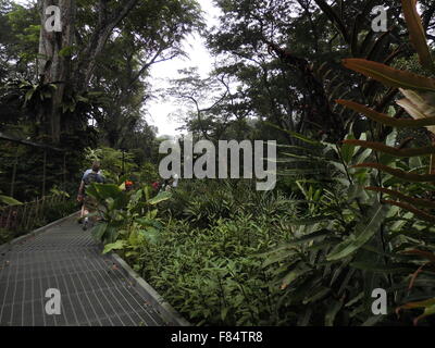 Jardin Botanique de Singapour un endroit amusant pour les personnes Banque D'Images