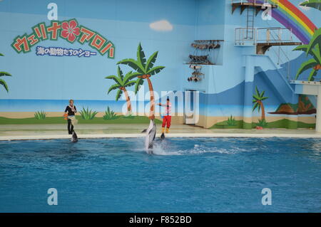 Le Dolphin dance à l'aquarium de mer : plus grande collection de poissons et d'animaux dans l'aquarium de la mer du Japon Banque D'Images