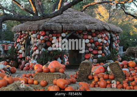 Les citrouilles à l'Arboretum de Dallas Banque D'Images