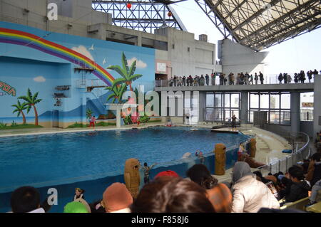 Le Dolphin dance à l'aquarium de mer : plus grande collection de poissons et d'animaux dans l'aquarium de la mer du Japon Banque D'Images