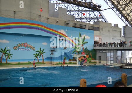 Étang de dauphins dans un aquarium et fun dance Banque D'Images