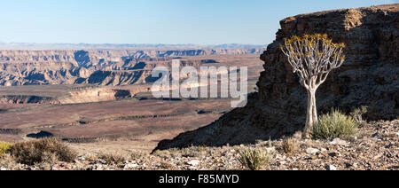 Quiver Tree (Aloe dichotoma) Panorama de Fish River Canyon - Région Karas, Namibie, Afrique Banque D'Images