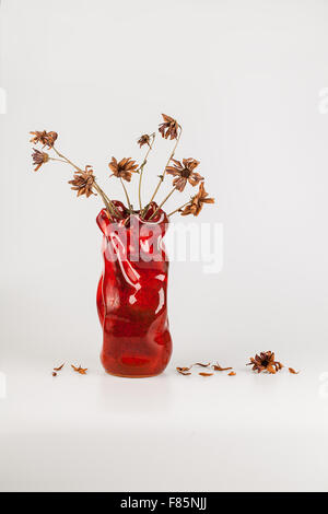 Bouquet de fleurs sèches dans un vase isolé sur fond blanc Banque D'Images