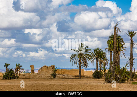 Paysage autour de Marrakech, Maroc. dans l'arrière-plan les montagnes du haut atlas. Banque D'Images