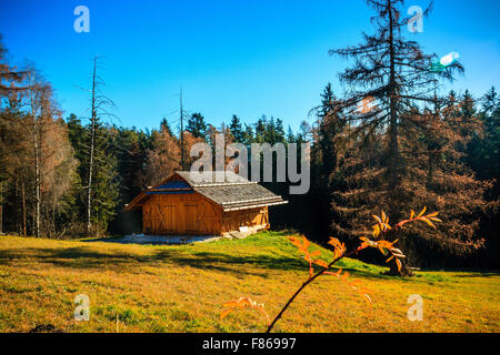 Une grange en bois ou agritourisme se dresse au milieu d'un pâturage sur le plateau du Renon, Tyrol du Sud, Italie Banque D'Images