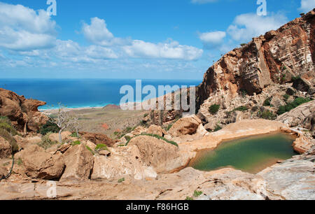 Île de Socotra, au Yémen, en vue de Homhil Plateau : l'oued et la mer d'Oman Banque D'Images