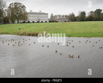 Offres et demandes de Castletown, Meknès, Co Kildare Banque D'Images