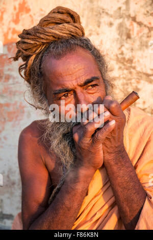 Un Sadhu Fumeurs ganja, saint homme, Galtaji, Khania-Balaji, Jaipur, Rajasthan, Inde Banque D'Images