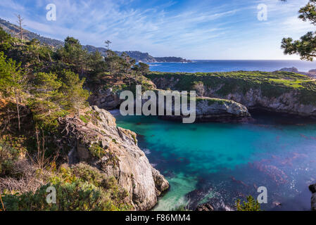 China Cove et côte rocheuse. Réserve naturelle d'État de point Lobos, Carmel, Californie, États-Unis. Banque D'Images