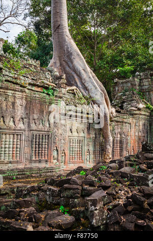 Preah Khan temple, zone d'Angkor, Siem Reap, Cambodge Banque D'Images