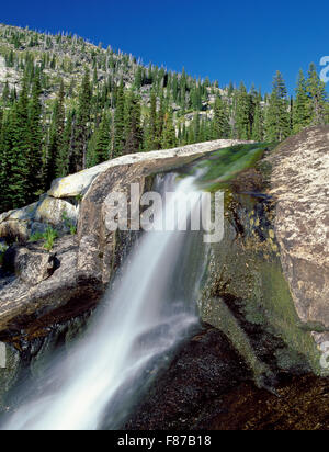 Cascade sur le ruisseau Bear dans le désert-bitterroot selway, New York Banque D'Images