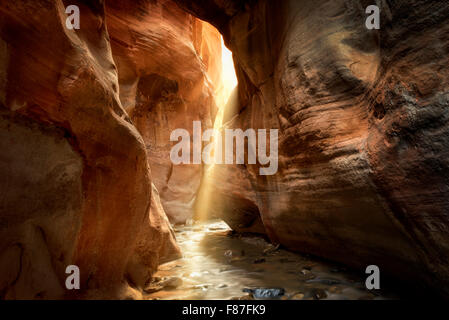 Faisceaux de lumière dans le slot canyon. Kanarra Creek, Utah. Dixie National Forest Banque D'Images