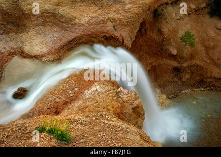 Chute d'eau fossé Tropic. Bryce National Park, Utah Banque D'Images