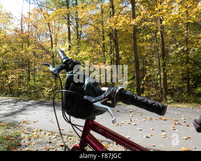 Un endroit de repos le long de l'Ashuwillticook Rail Trail dans Adams, Massachusetts, pendant la saison des feuilles d'automne. Banque D'Images