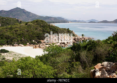 Côte de VINH HY, le Viet Nam, l'arbre en vue de l'avant et l'arrière-plan avec moutain Banque D'Images