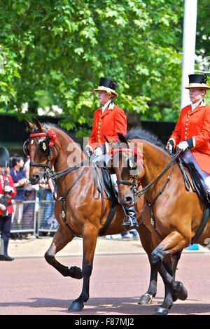 La Parade des couleurs pour l'anniversaire de la reine à Londres, 2006. Banque D'Images