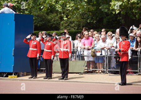 La Parade des couleurs pour l'anniversaire de la reine à Londres, 2006. Banque D'Images