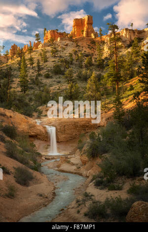 Cascades sur Tropic fossé. Bryce National Park, Utah Banque D'Images