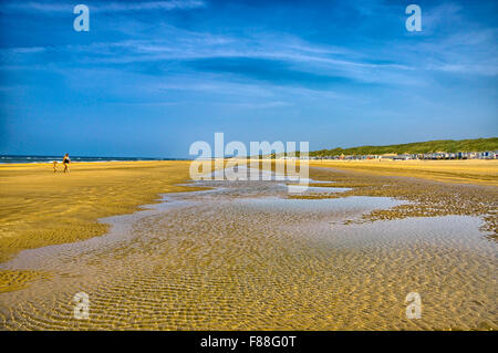 Sillons dans la plage, mer du Nord, près d'Amsterdam, Zandvoort holla Banque D'Images