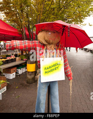 Montrant l'épouvantail à direction farmers market Banque D'Images