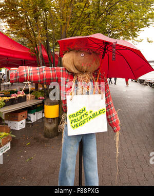 Montrant l'épouvantail à direction farmers market Banque D'Images