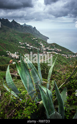 Taganana, Espagne. 29 Nov, 2015. Le paysage de montagne de Las Montanas de Anaga sur l'île de Tenerife, près de la petite ville de Taganana, Espagne, 29 novembre 2015. Photo : Patrick Pleul/DPA - PAS DE FIL - SERVICE/dpa/Alamy Live News Banque D'Images