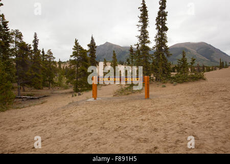 Désert de Carcross Yukon Canada Banque D'Images