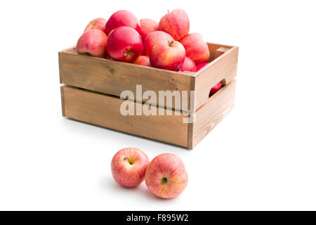 Pommes rouges sur fond blanc Banque D'Images