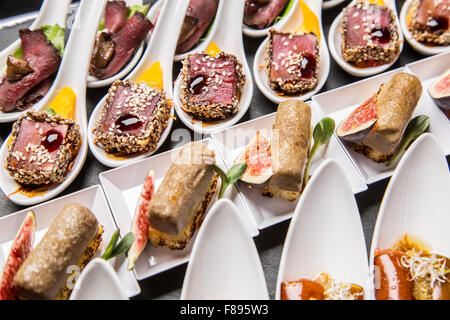 Hors-d'œuvre gastronomique : foie gras, le gibier, le thon et le saumon. Banque D'Images