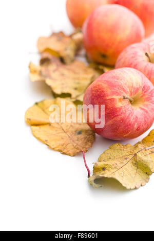 Les pommes d'automne et de feuilles sur fond blanc Banque D'Images